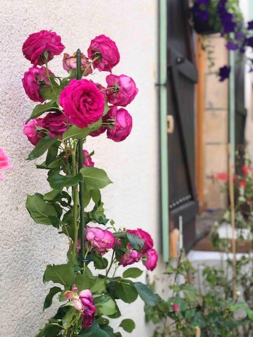 Gite "La Belle Vie" Chamblet Exterior photo